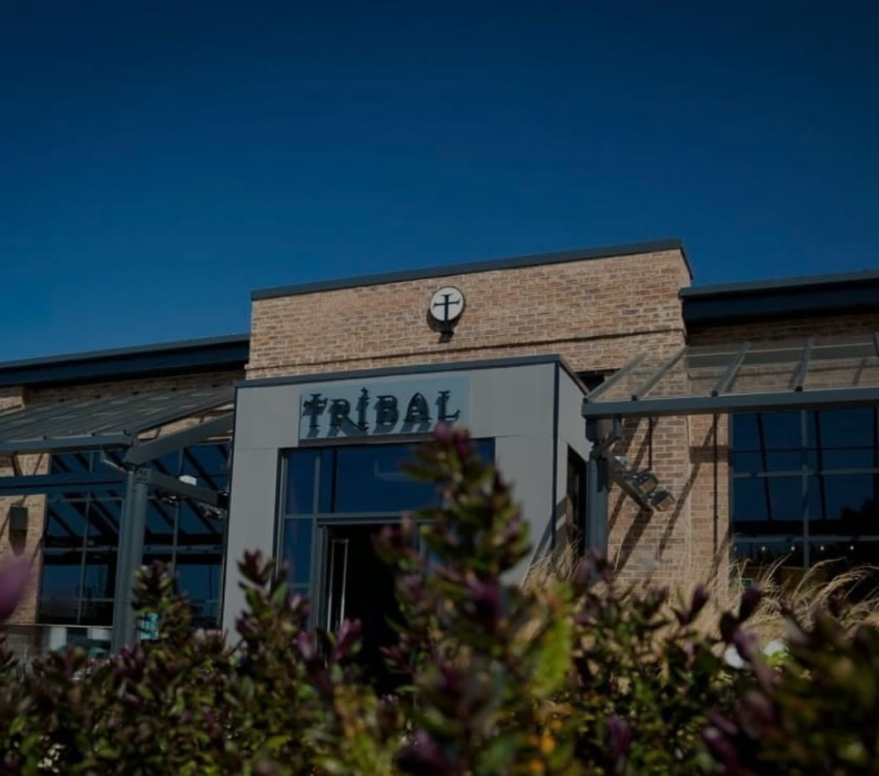 Tribal Bar and Grill